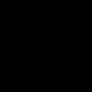 Meet your Posher, Ally